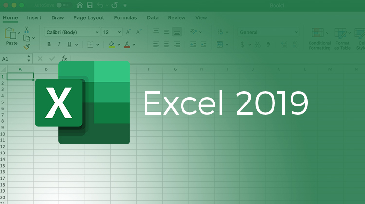 Excel 2019 (MO-200) In Browser Labs
