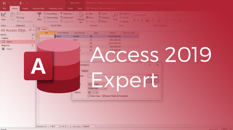 Access 2019 Expert (MO-500)