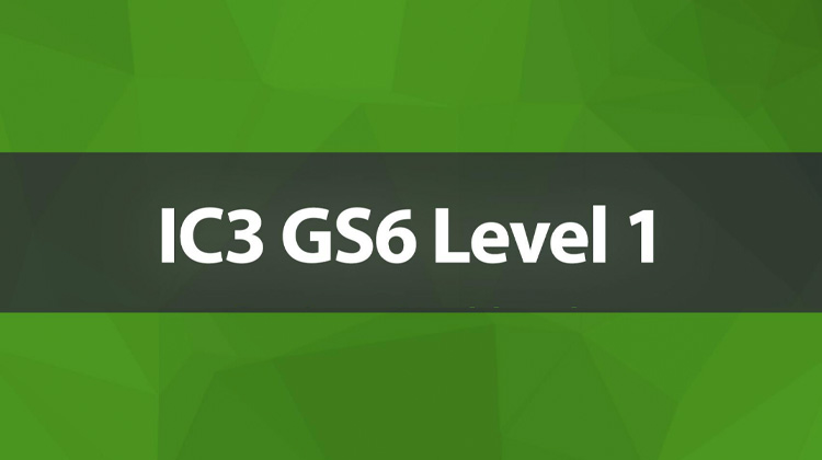 IC3 GS6 - Level 1